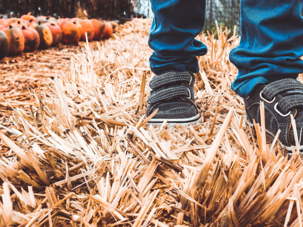 Mt Vernon on Sarasota Bay, Mount Vernon on Sarasota Bay, Mt Vernon, Mount Vernon, bay front, water front, real estate, bradenton, anna maria island, boating, Cheryl Carson 