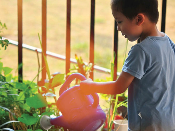 Mt Vernon, Mount Vernon, Mount Vernon on Sarasota Bay, Mt Vernon on Sarasota Bay, Bradenton, Anna Maria Island, Florida, Gulf Coast, Sarasota, Real Estate, Condos, Cheryl Carson, 941.524.9907